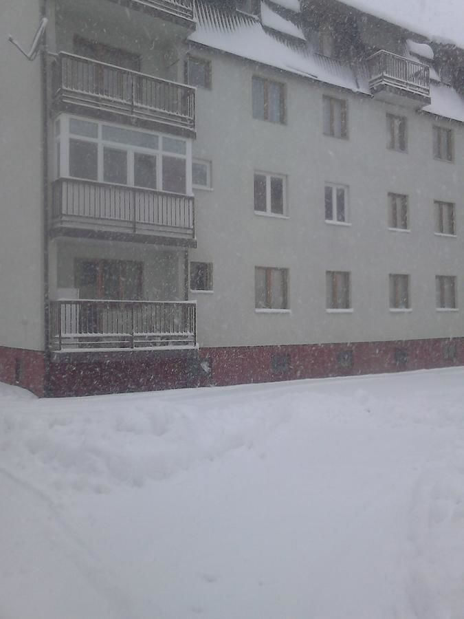 Апартаменты Apartment Kolasin Колашин