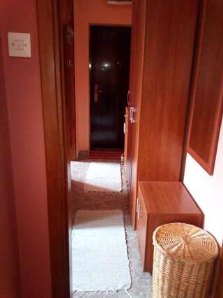 Апартаменты Apartment Kolasin Колашин Апартаменты с 1 спальней-20