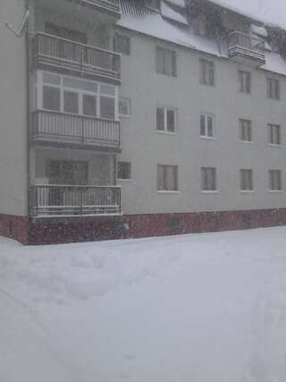 Апартаменты Apartment Kolasin Колашин Апартаменты с 1 спальней-37