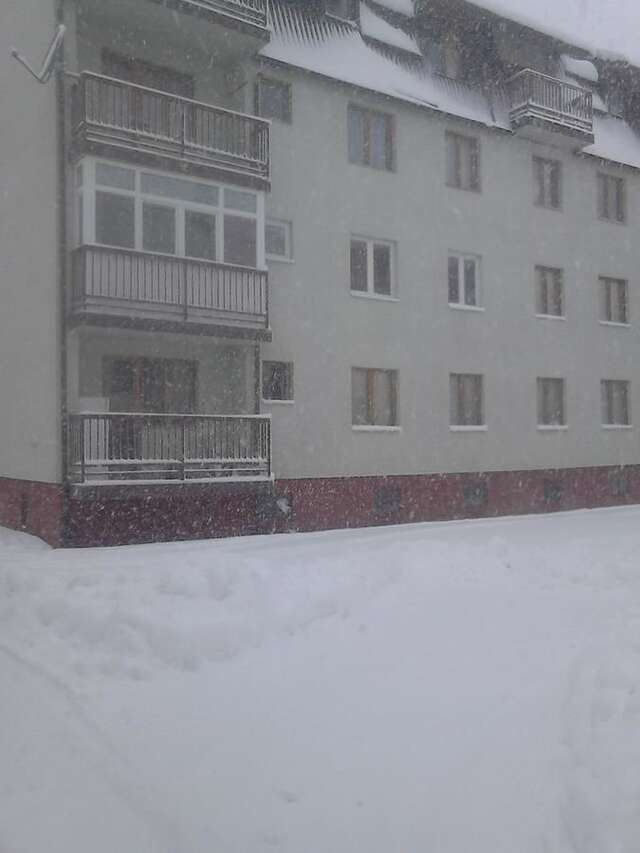 Апартаменты Apartment Kolasin Колашин-24