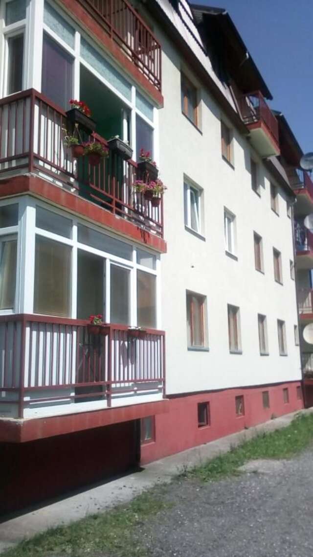 Апартаменты Apartment Kolasin Колашин-7